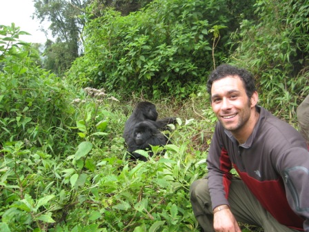 Gorillas.jpg