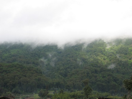 Mist.jpg