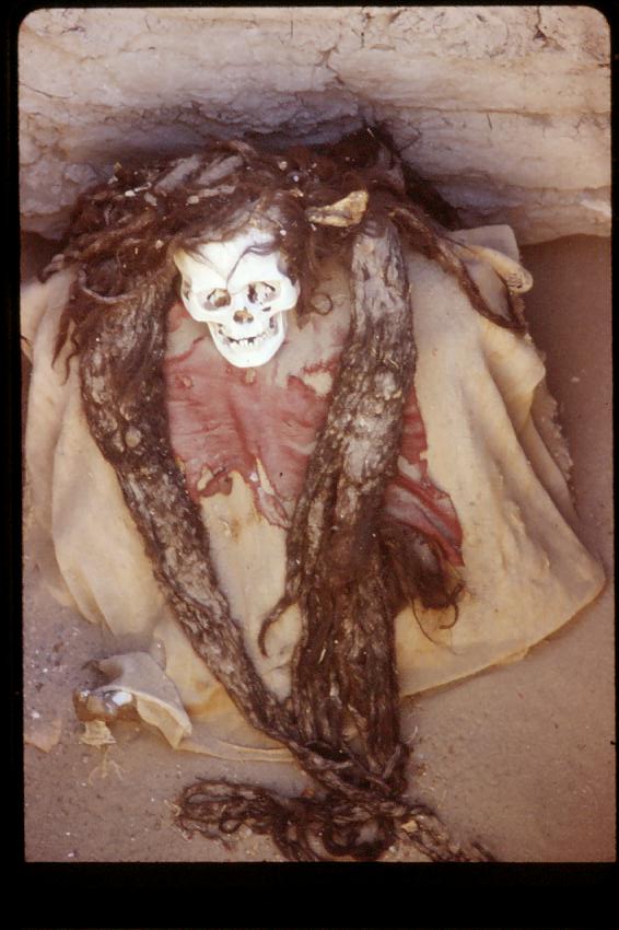 Cauchilla Mummy.JPG