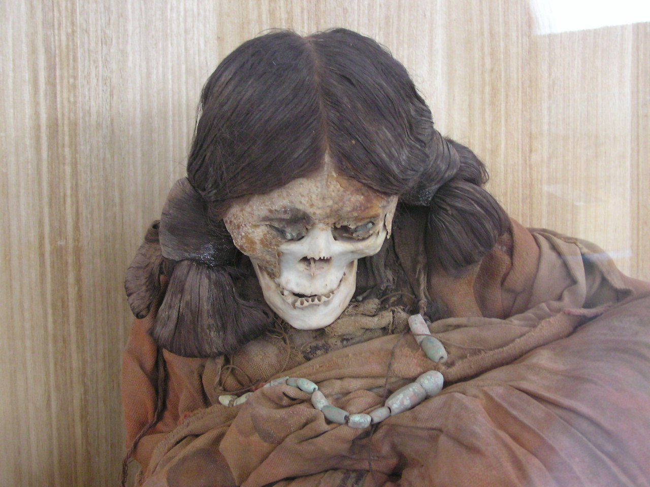 Atacama Mummy.JPG
