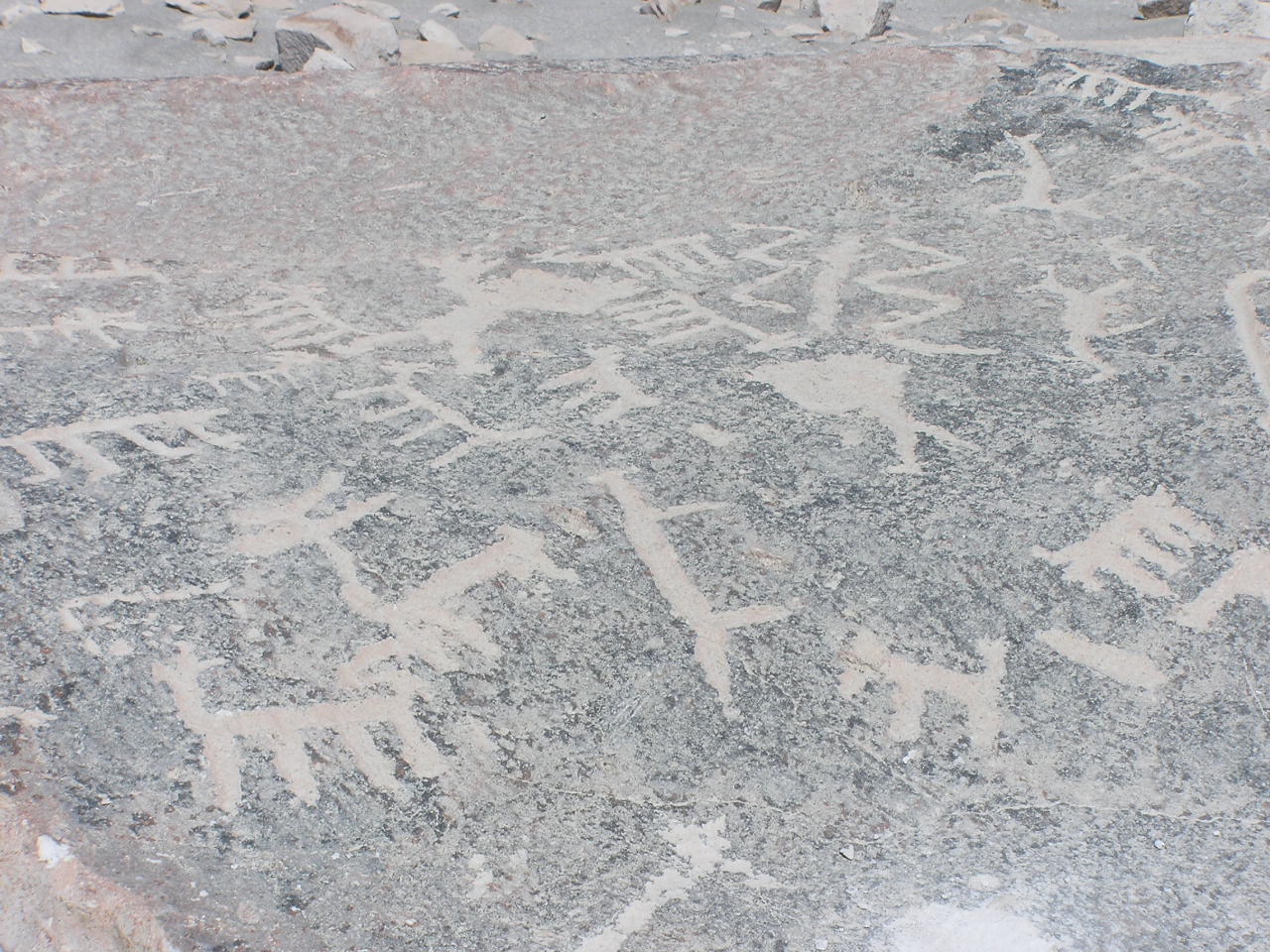 Petroglyphs.JPG