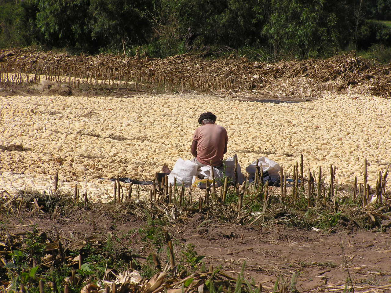The Sacred Valley.JPG