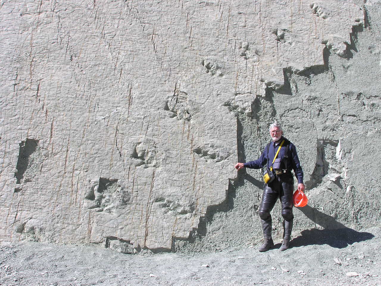 Dinosaur Tracks.JPG