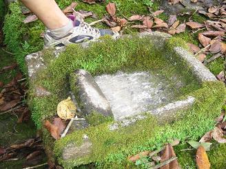 mortar_and_pestle2.16.JPG