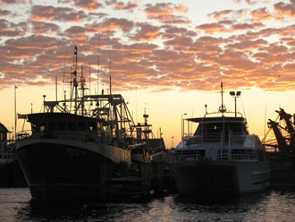 perth20.JPG