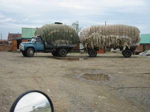 6wooltruck.JPG