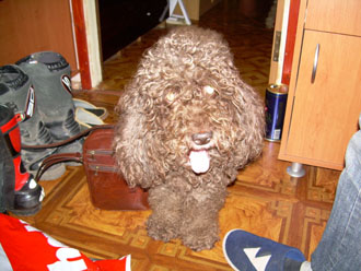 DSCN0007.jpg