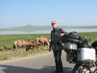 camels2.jpg