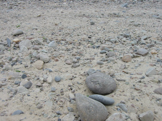 surface.jpg