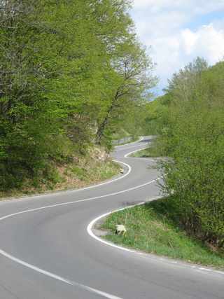 01_WindyRoad_320.JPG