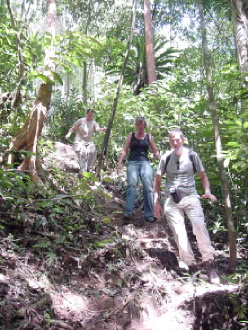 Hiking through the jungle