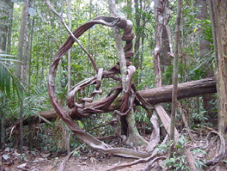 Jungle art