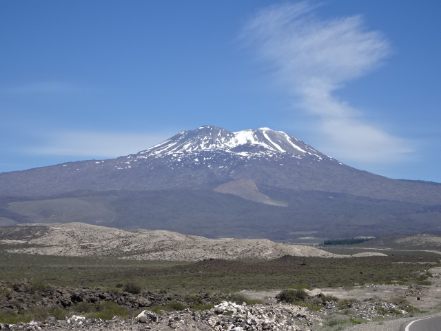 Ruta 40