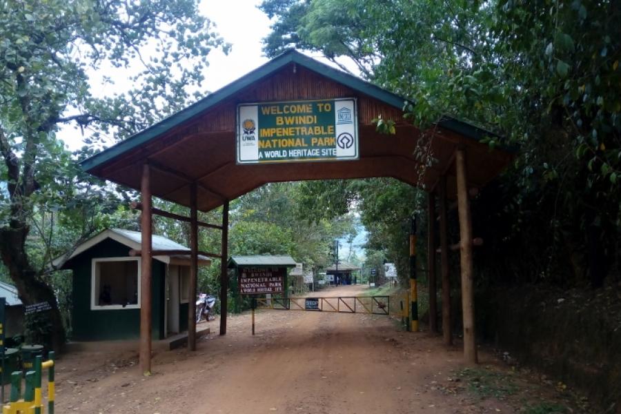 Photo of entrance to Bwindi Impenetrable Forest National Park