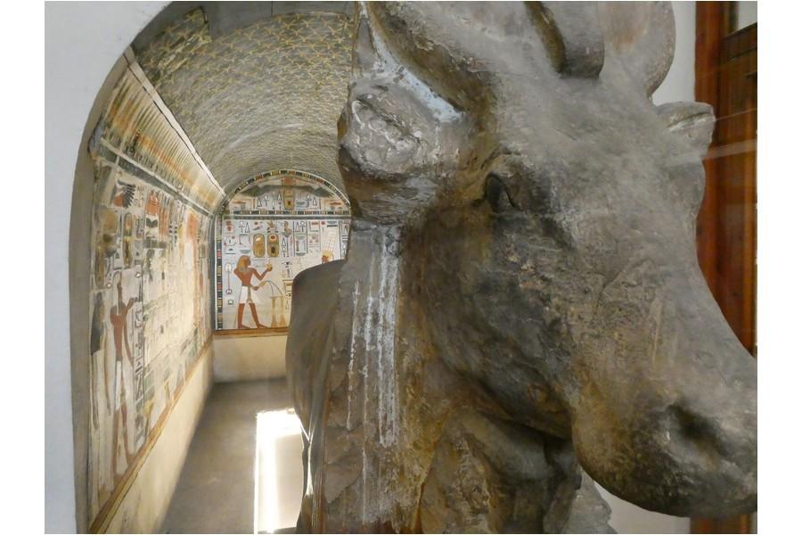 Egypt